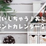 パケ買いしちゃう！アドベントカレンダー２５アイキャッチ